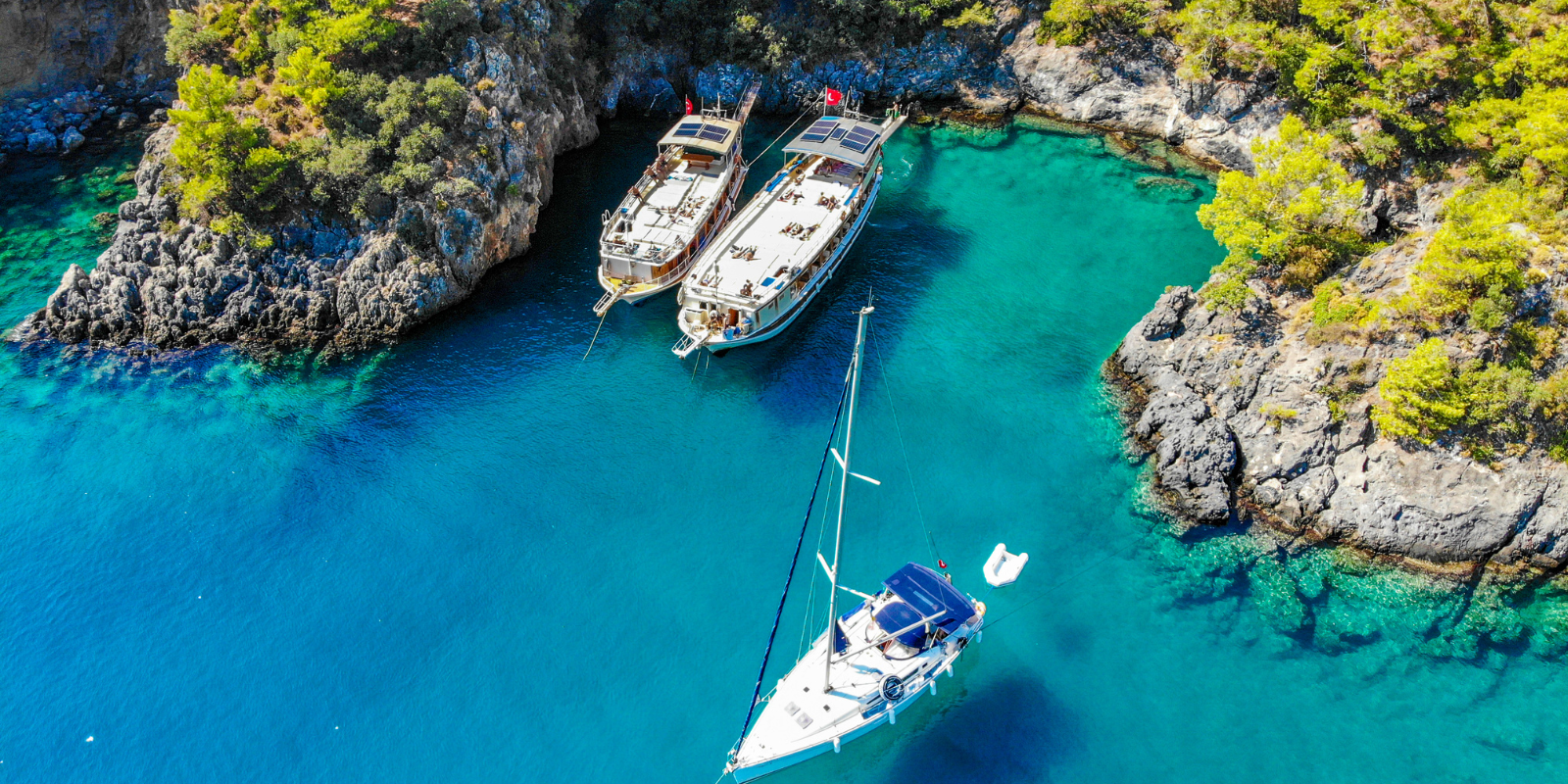 Untitled design (10)