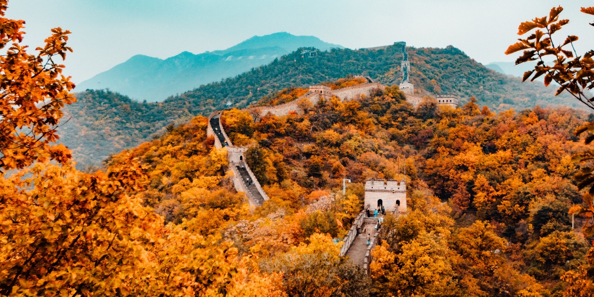 hanson-lu-Q36BvLGdOAg-unsplash (1)