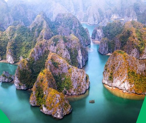 Vietnam’s Top Destinations in Summer 2026: Emerging Trends and Market Insights
